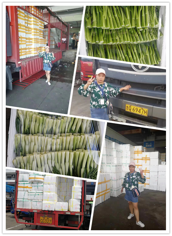 w66.利来(中国区)_来利国际旗舰厅