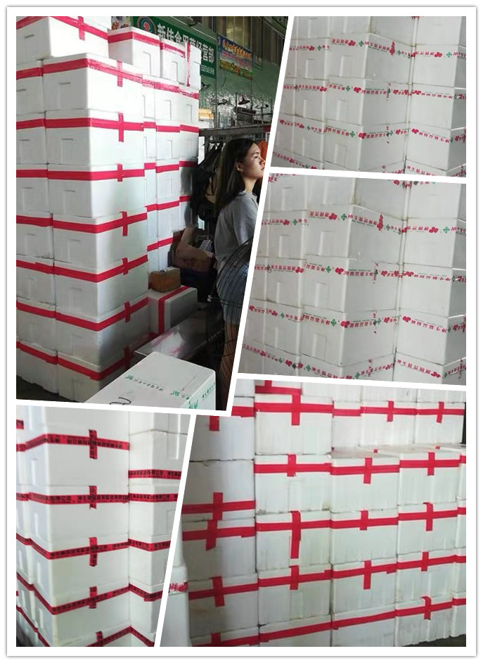 w66.利来(中国区)_来利国际旗舰厅