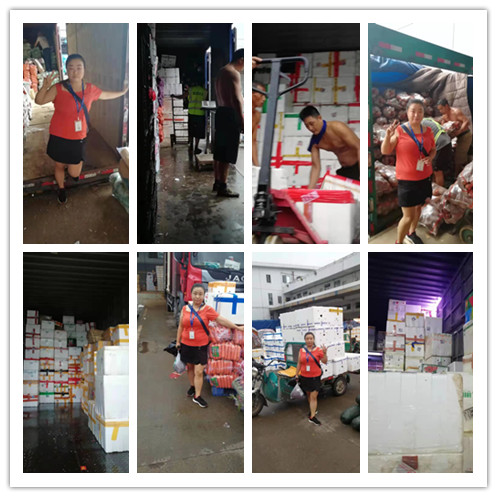 w66.利来(中国区)_来利国际旗舰厅