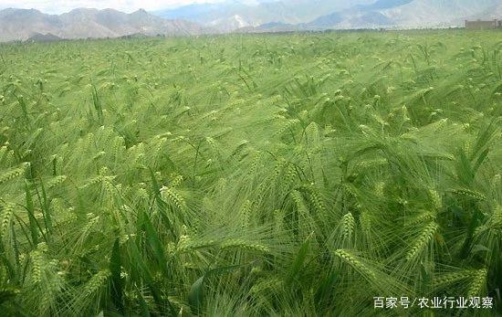 w66.利来(中国区)_来利国际旗舰厅