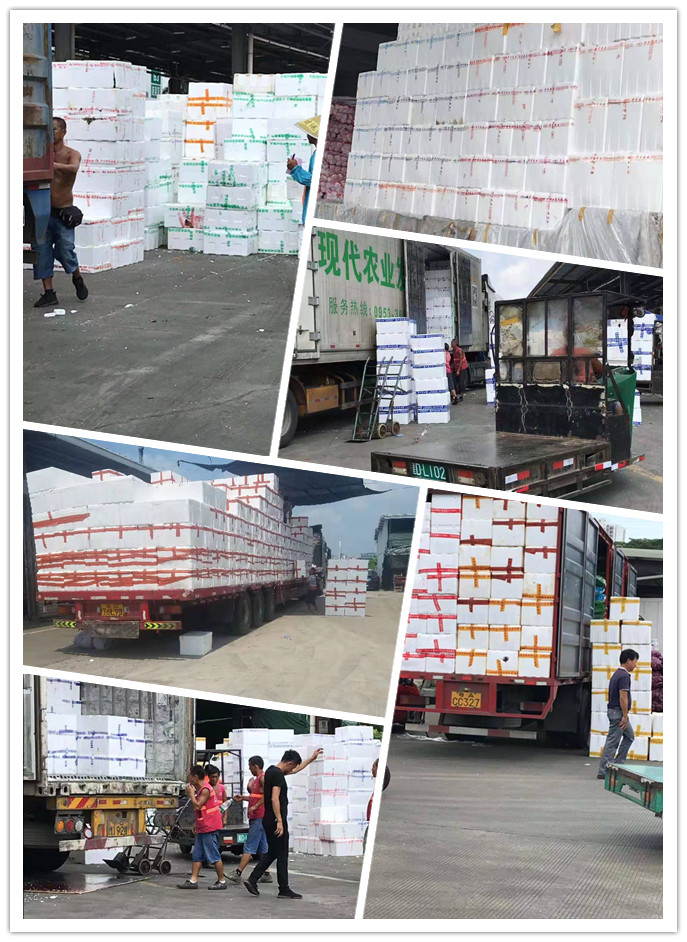 w66.利来(中国区)_来利国际旗舰厅