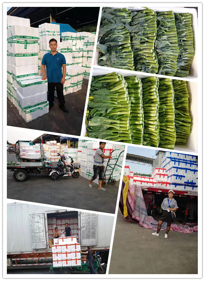 w66.利来(中国区)_来利国际旗舰厅