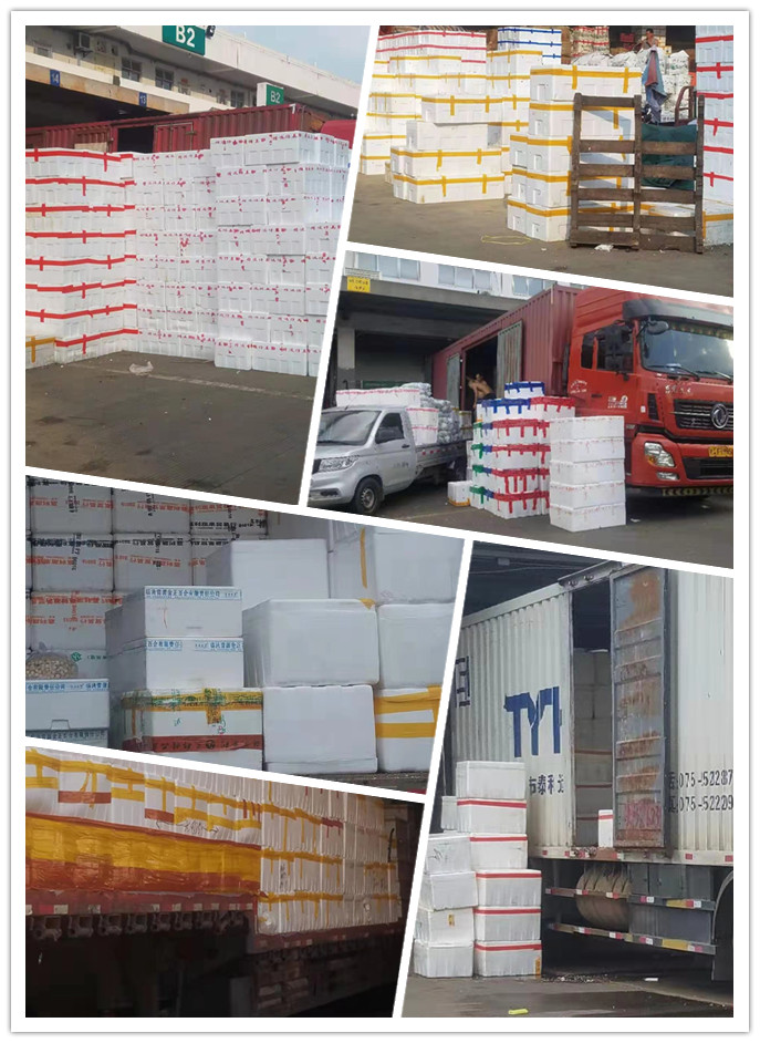 w66.利来(中国区)_来利国际旗舰厅