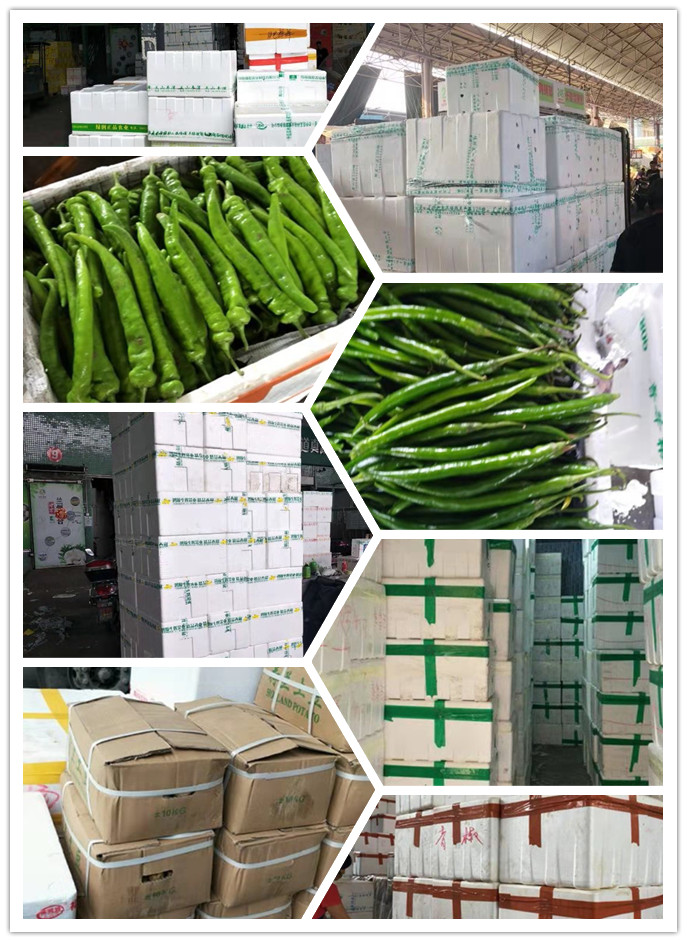 w66.利来(中国区)_来利国际旗舰厅