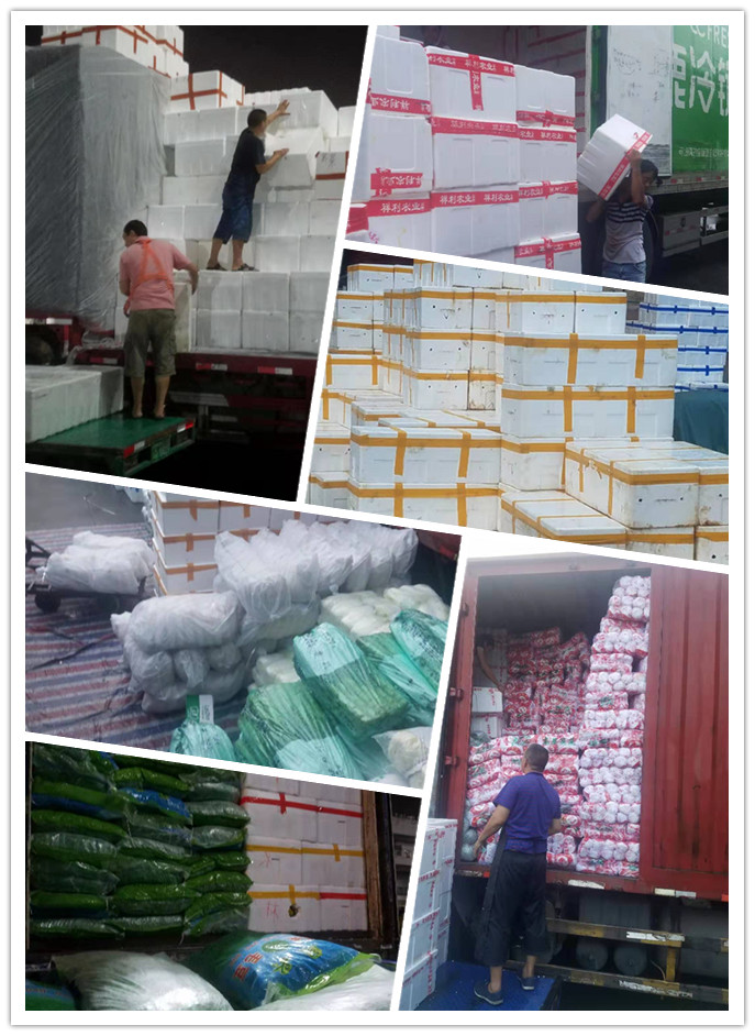 w66.利来(中国区)_来利国际旗舰厅