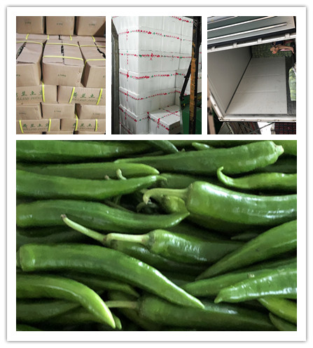 w66.利来(中国区)_来利国际旗舰厅