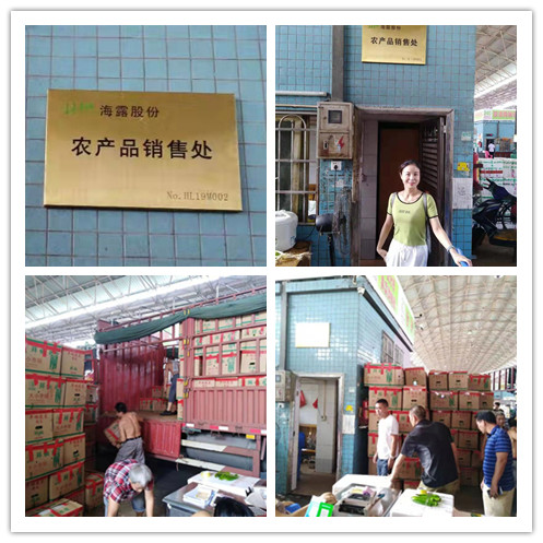 w66.利来(中国区)_来利国际旗舰厅