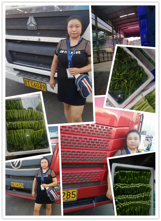 w66.利来(中国区)_来利国际旗舰厅