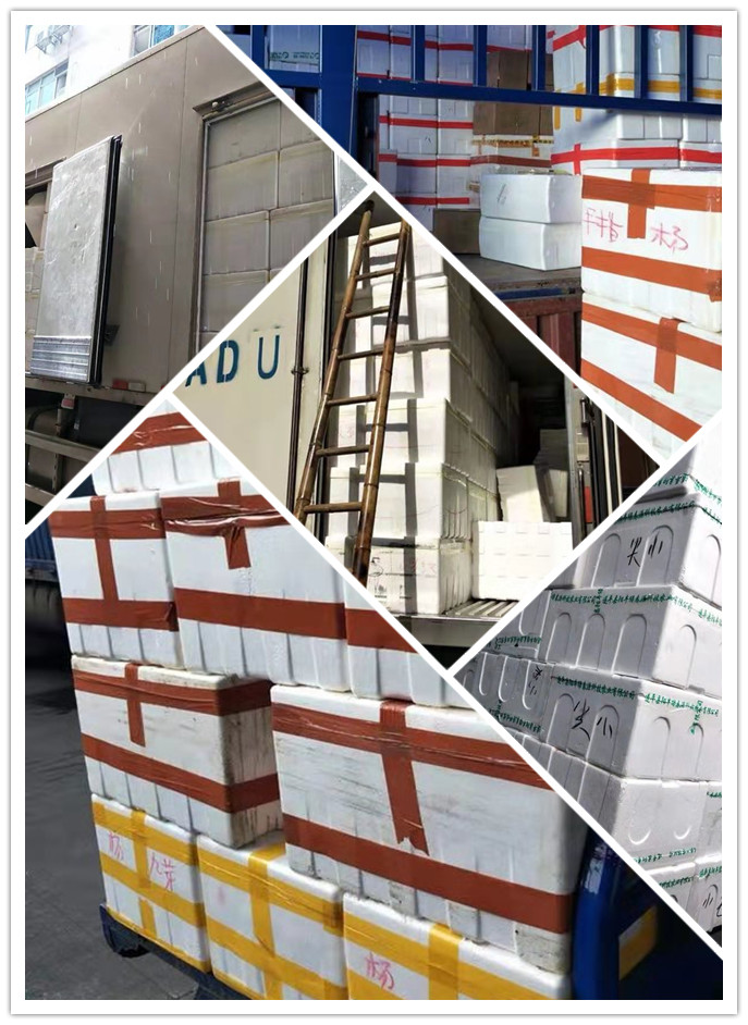 w66.利来(中国区)_来利国际旗舰厅