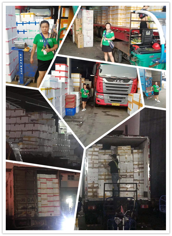 w66.利来(中国区)_来利国际旗舰厅