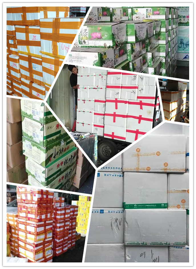 w66.利来(中国区)_来利国际旗舰厅