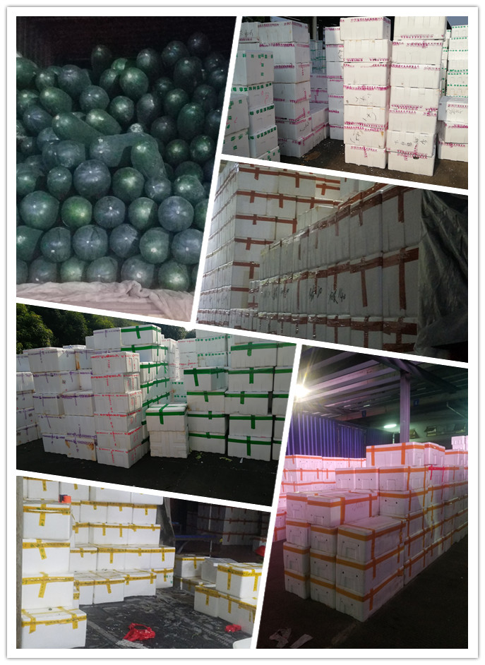 w66.利来(中国区)_来利国际旗舰厅