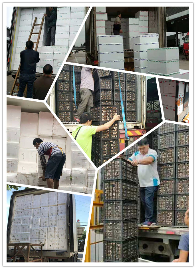 w66.利来(中国区)_来利国际旗舰厅