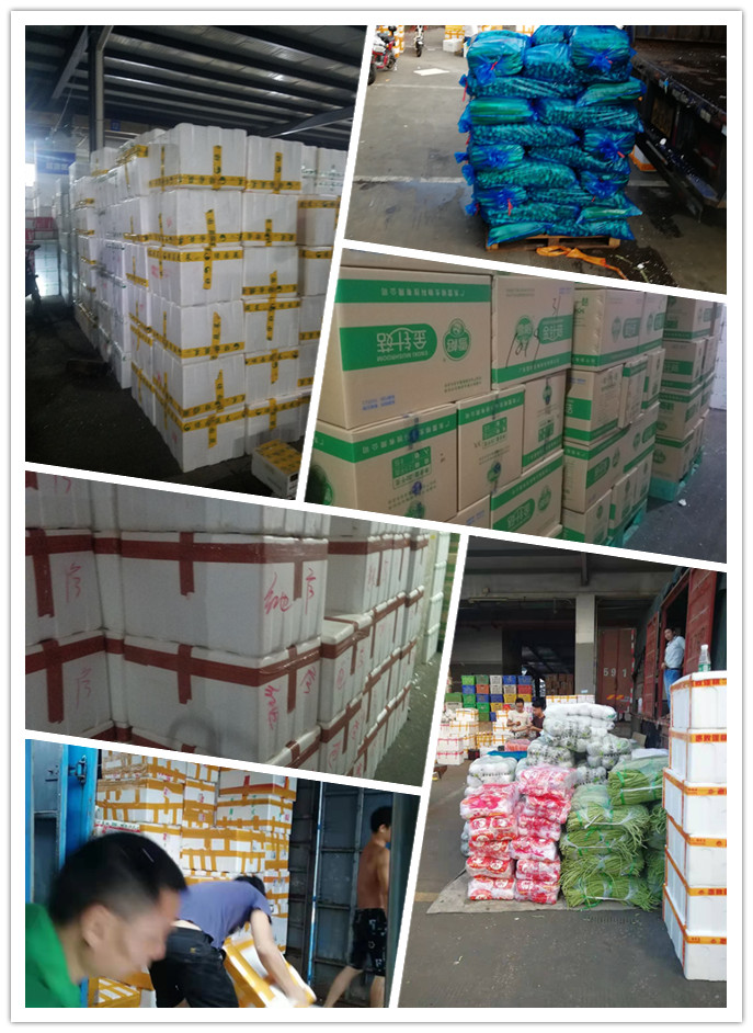 w66.利来(中国区)_来利国际旗舰厅