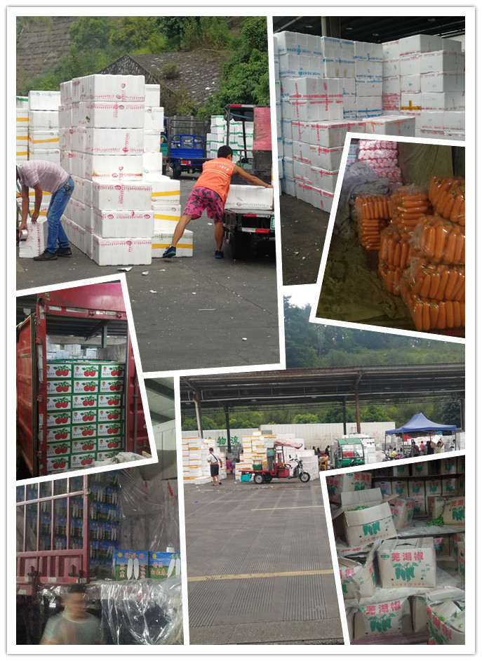 w66.利来(中国区)_来利国际旗舰厅