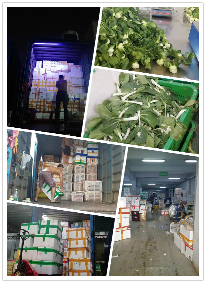 w66.利来(中国区)_来利国际旗舰厅