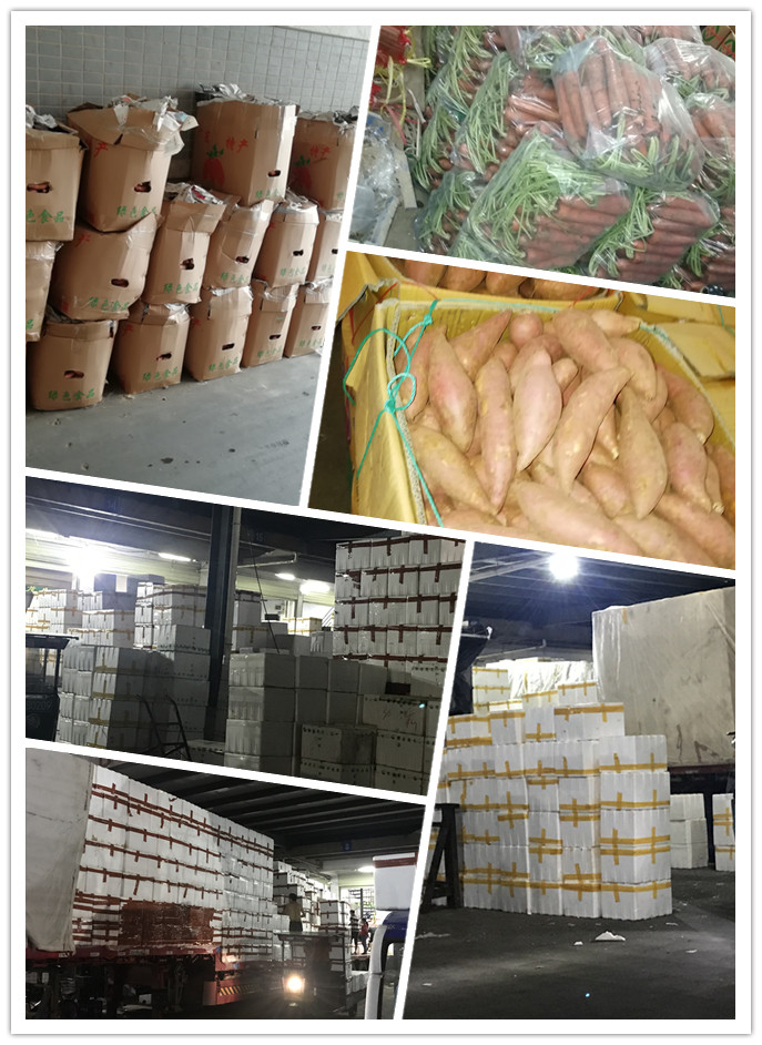 w66.利来(中国区)_来利国际旗舰厅