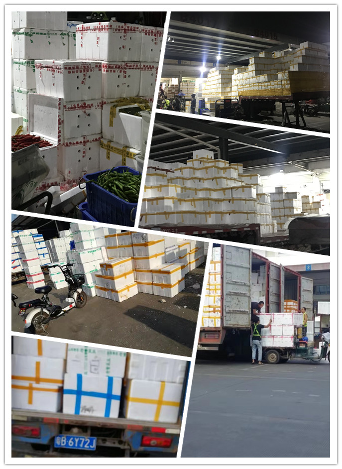 w66.利来(中国区)_来利国际旗舰厅