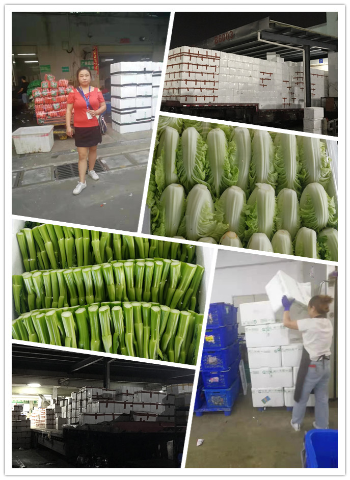 w66.利来(中国区)_来利国际旗舰厅