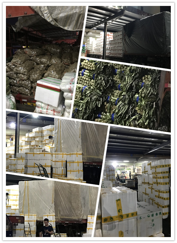 w66.利来(中国区)_来利国际旗舰厅