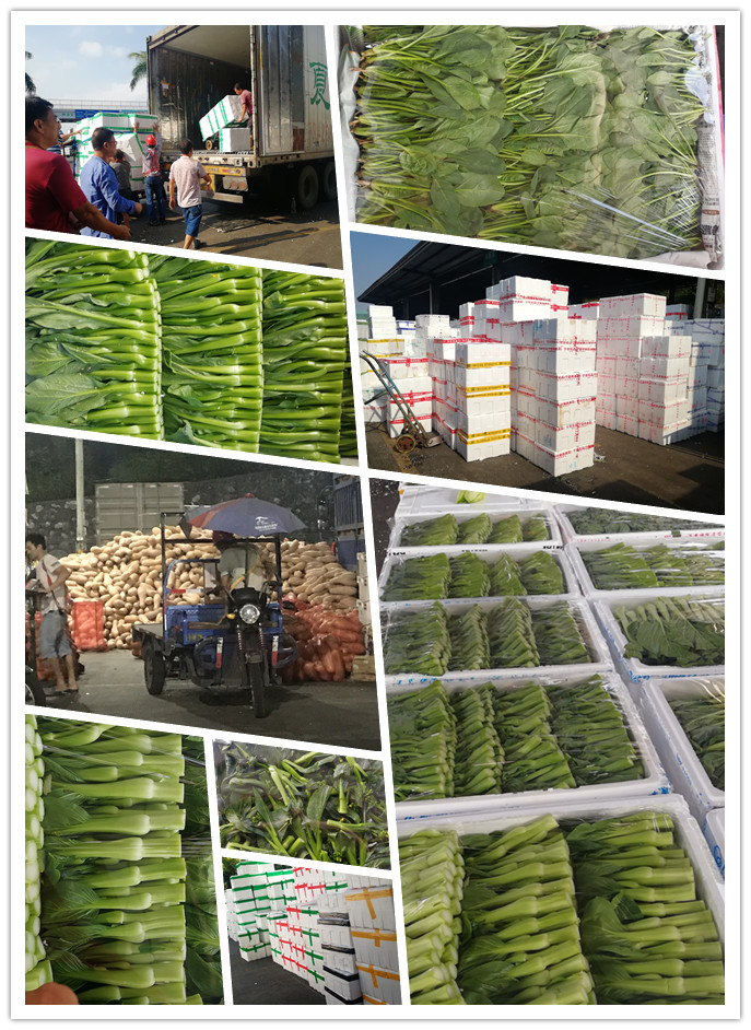 w66.利来(中国区)_来利国际旗舰厅