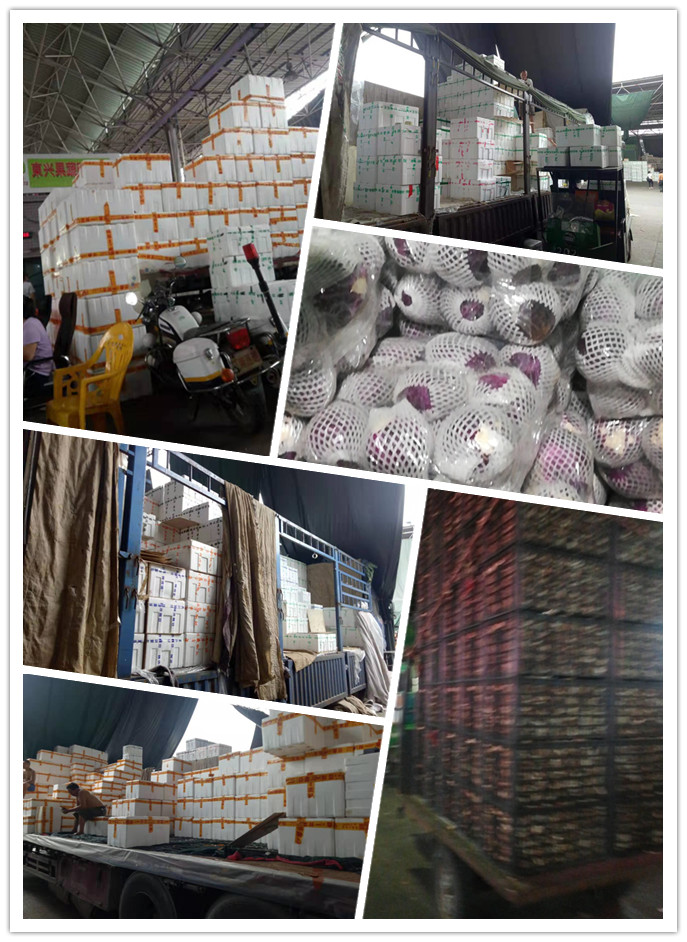 w66.利来(中国区)_来利国际旗舰厅