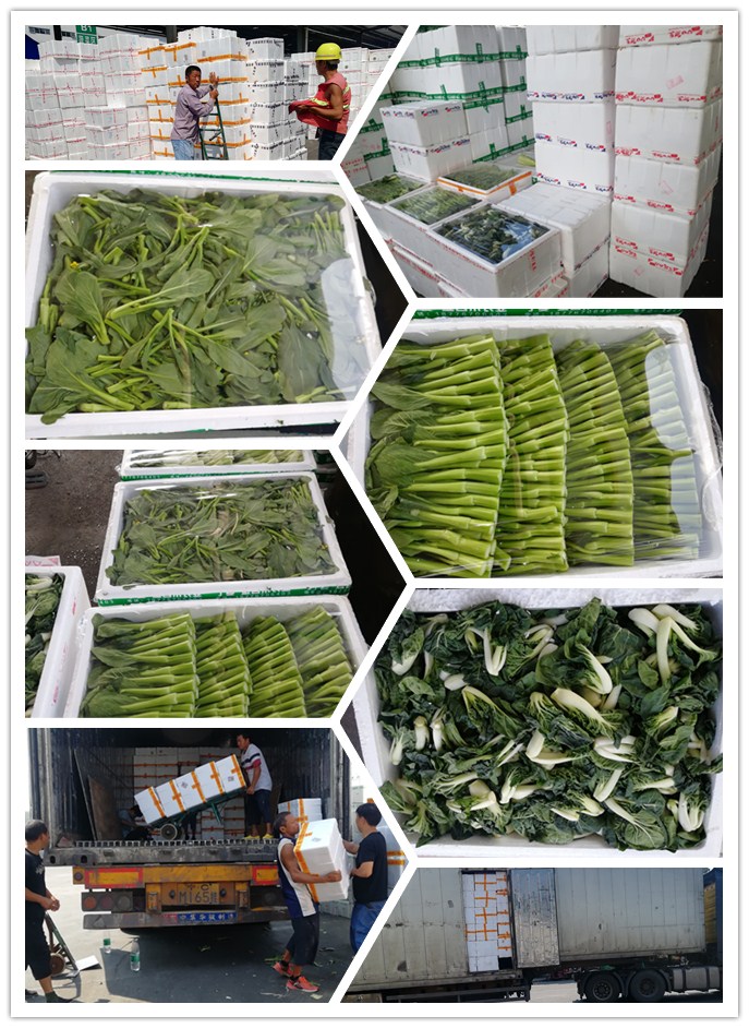 w66.利来(中国区)_来利国际旗舰厅