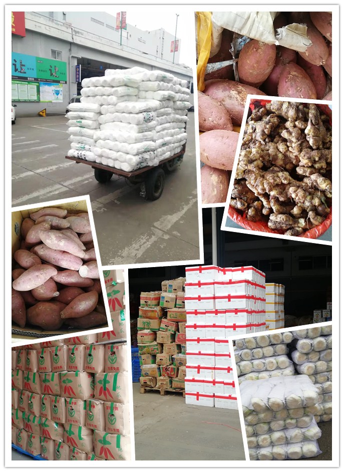 w66.利来(中国区)_来利国际旗舰厅