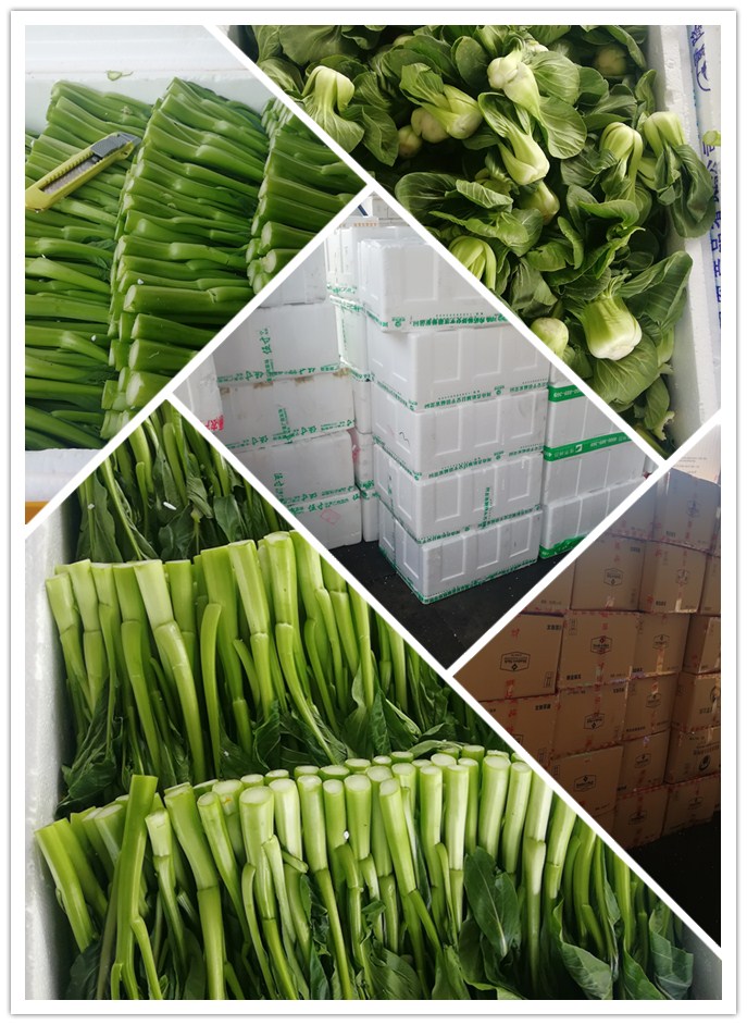 w66.利来(中国区)_来利国际旗舰厅