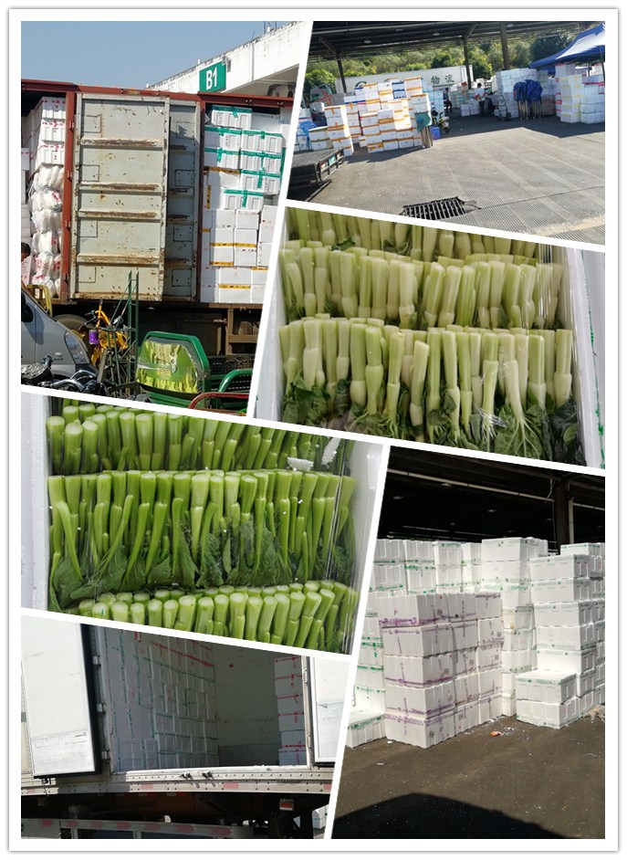 w66.利来(中国区)_来利国际旗舰厅