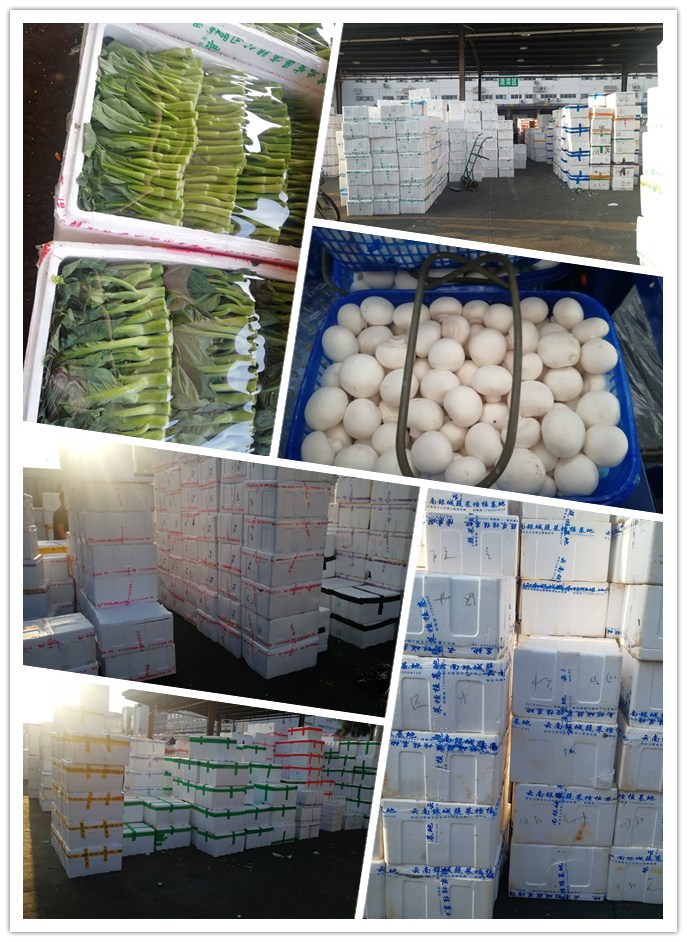 w66.利来(中国区)_来利国际旗舰厅