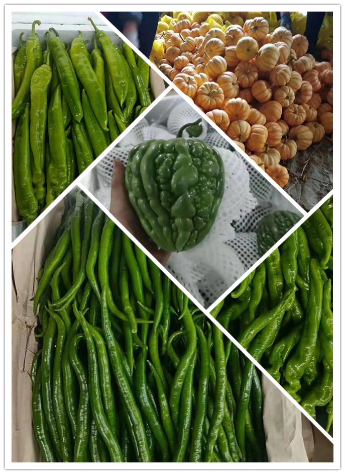 w66.利来(中国区)_来利国际旗舰厅