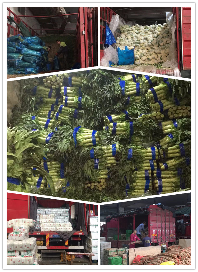 w66.利来(中国区)_来利国际旗舰厅