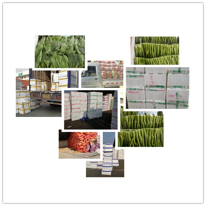 w66.利来(中国区)_来利国际旗舰厅