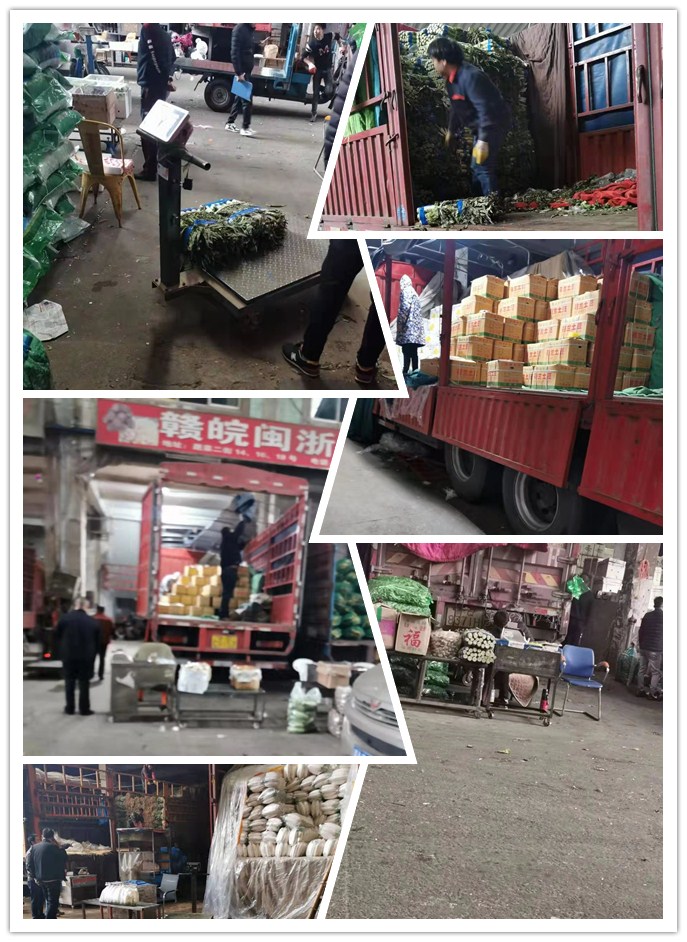 w66.利来(中国区)_来利国际旗舰厅