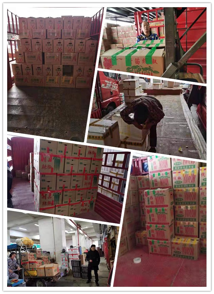 w66.利来(中国区)_来利国际旗舰厅