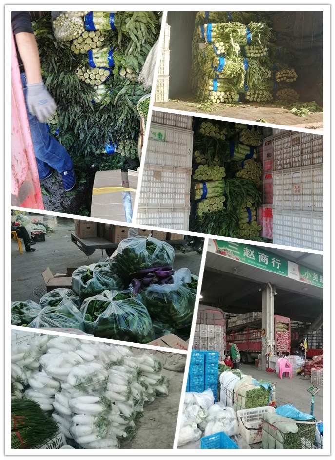 w66.利来(中国区)_来利国际旗舰厅