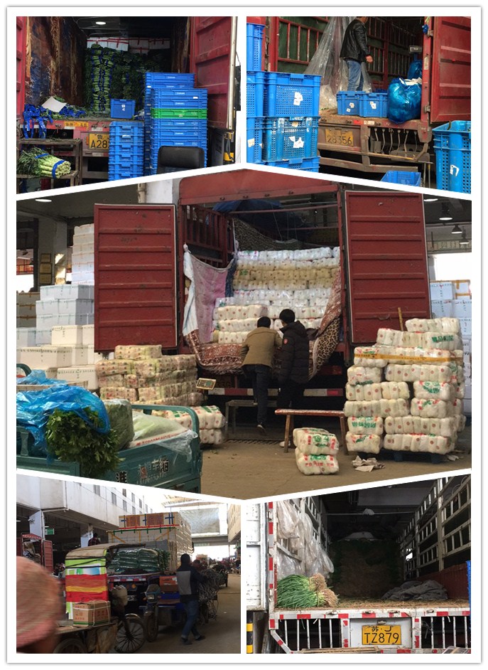 w66.利来(中国区)_来利国际旗舰厅