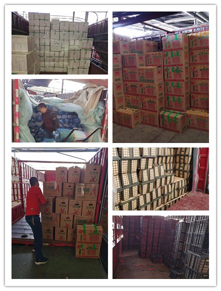 w66.利来(中国区)_来利国际旗舰厅