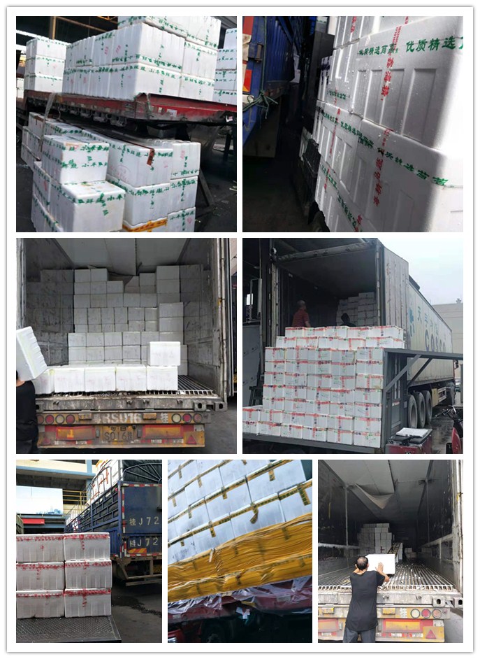 w66.利来(中国区)_来利国际旗舰厅