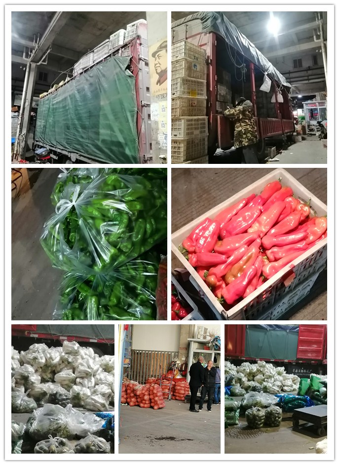 w66.利来(中国区)_来利国际旗舰厅