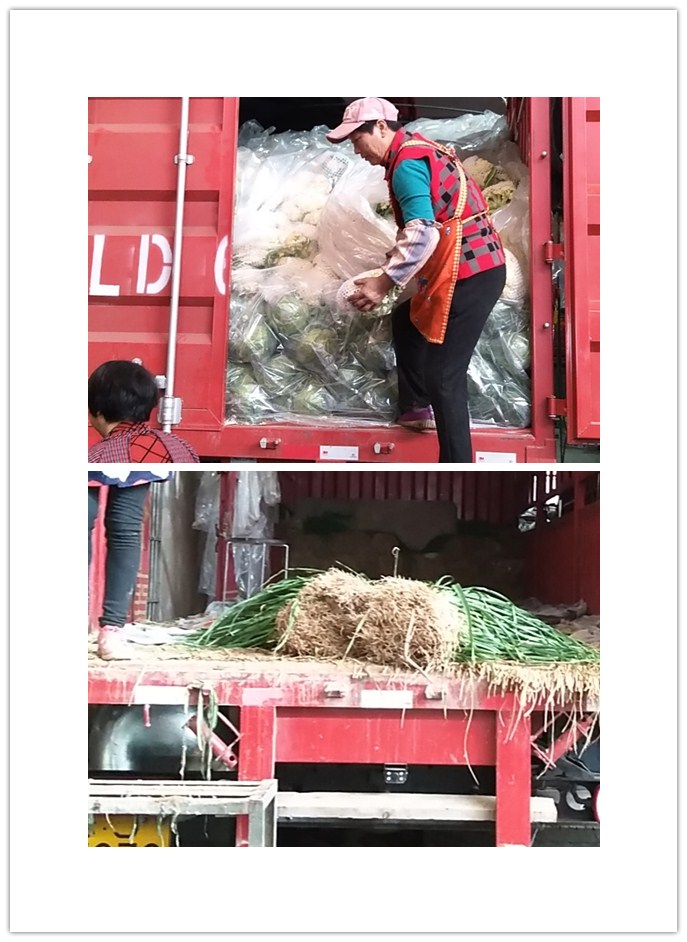 w66.利来(中国区)_来利国际旗舰厅