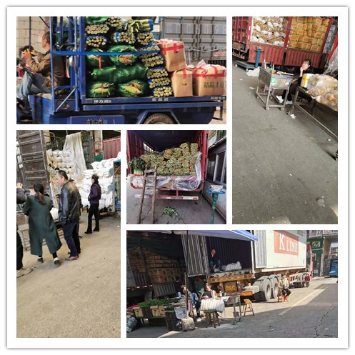 w66.利来(中国区)_来利国际旗舰厅