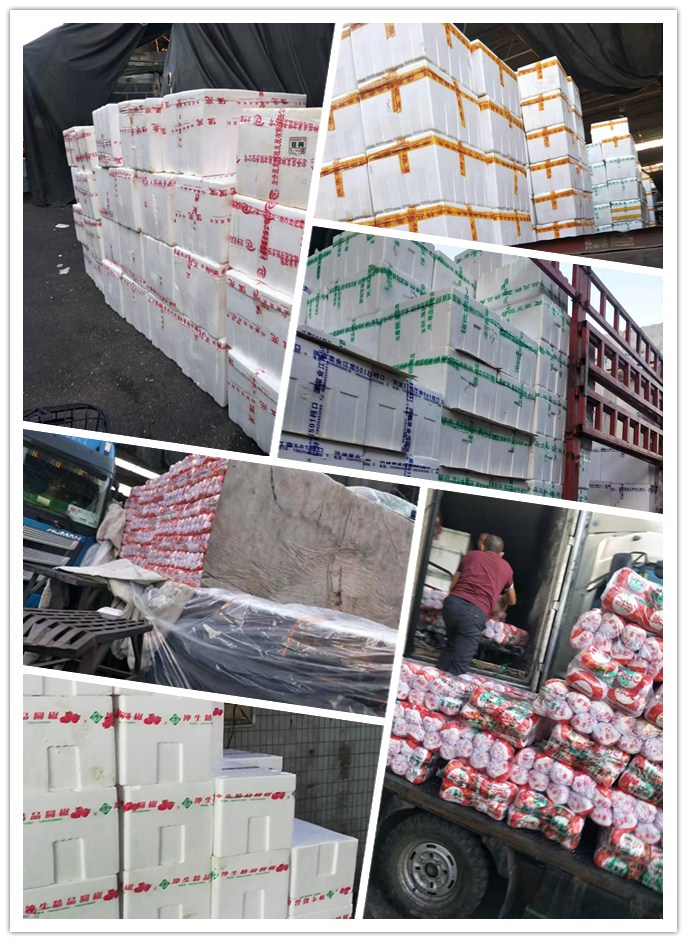 w66.利来(中国区)_来利国际旗舰厅