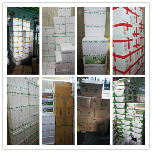 w66.利来(中国区)_来利国际旗舰厅