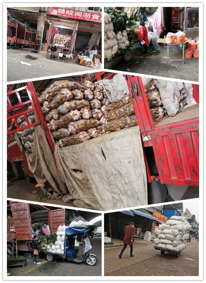 w66.利来(中国区)_来利国际旗舰厅