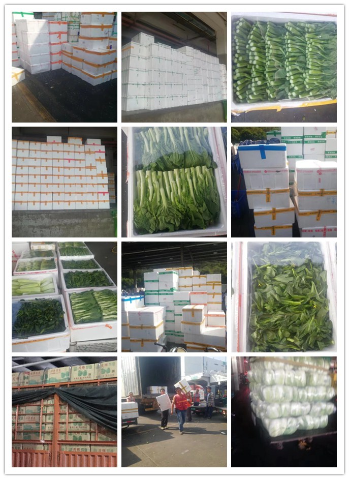 w66.利来(中国区)_来利国际旗舰厅