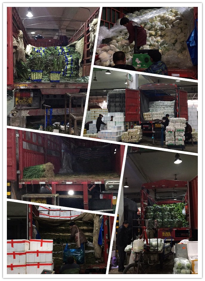 w66.利来(中国区)_来利国际旗舰厅