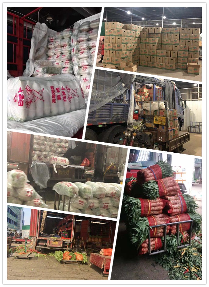 w66.利来(中国区)_来利国际旗舰厅