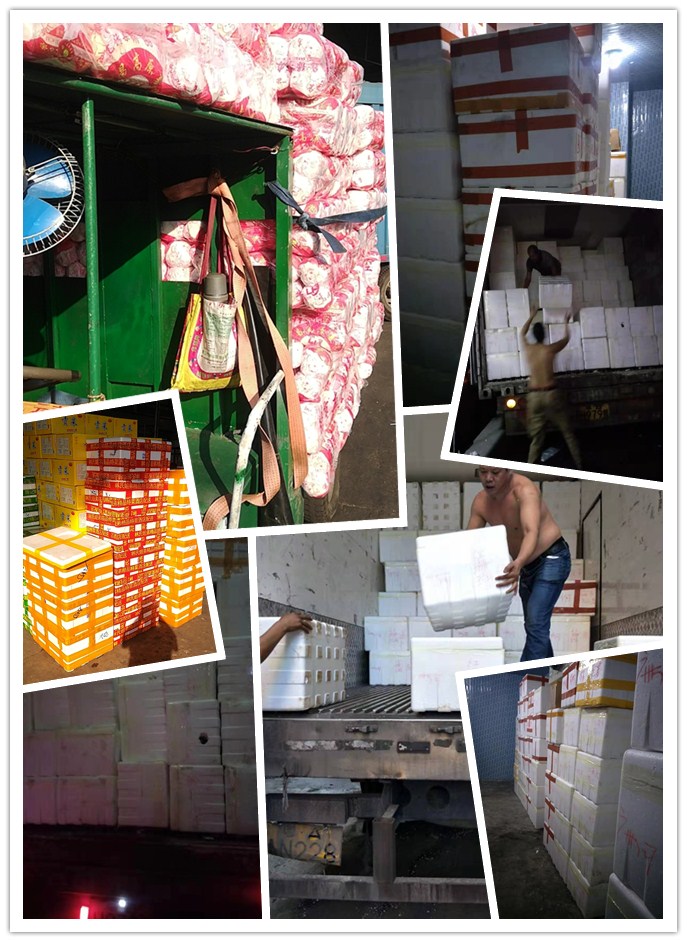 w66.利来(中国区)_来利国际旗舰厅